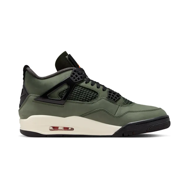 air-jordan-4 IB1519-200