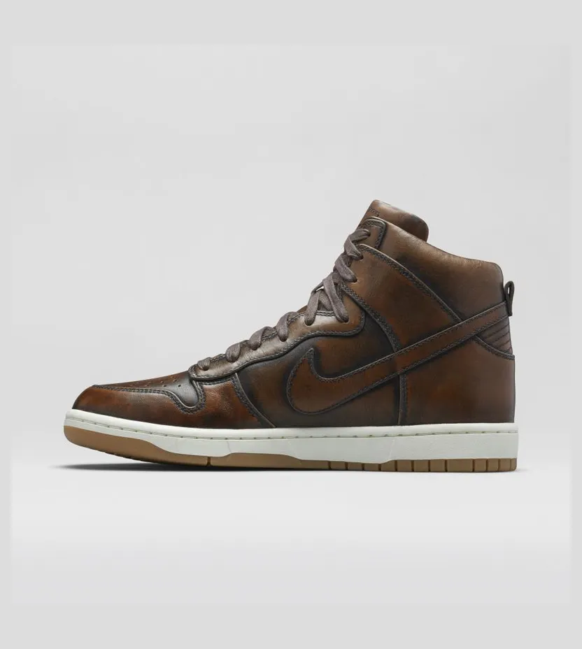nike-dunk 747138-221