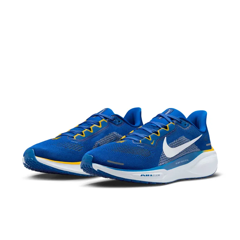Nike Air Zoom Pegasus 41 North Carolina A&T (FZ5132-400)