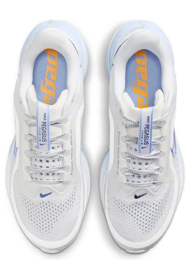 nike-air-pegasus HQ2593-107