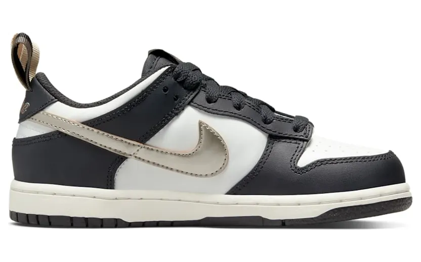 nike-dunk DR6918-001