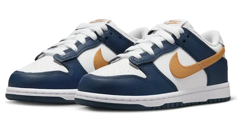 nike-dunk FB9108-111