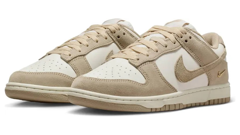 nike-dunk IO4244-101