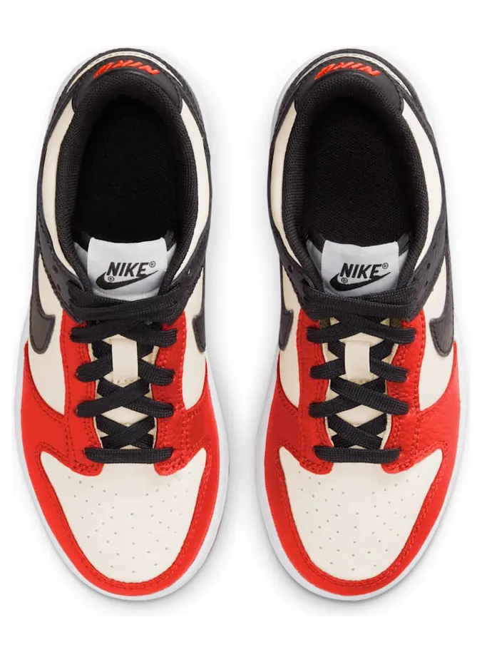 nike-dunk DC9564-100