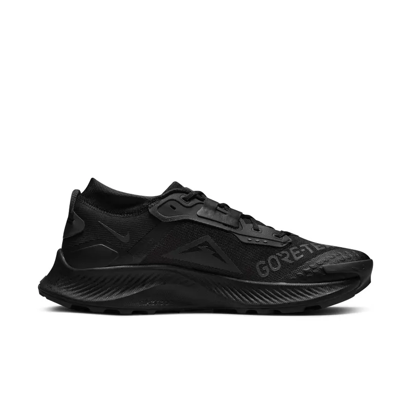 Nike Pegasus Trail 3 GORE-TEX Waterproof Trail Running Black (DC8793-001)