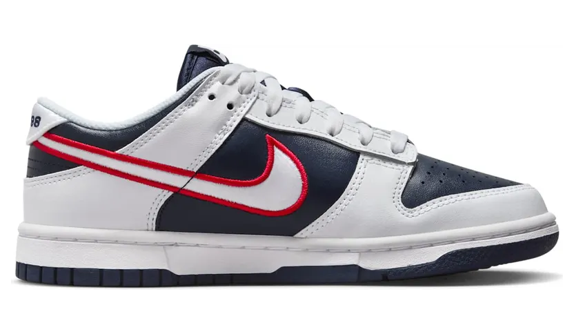 nike-dunk DZ2780-100