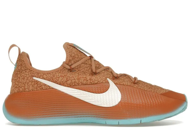 Nike LeBron TR 1 Better With Age (FJ6151-200)