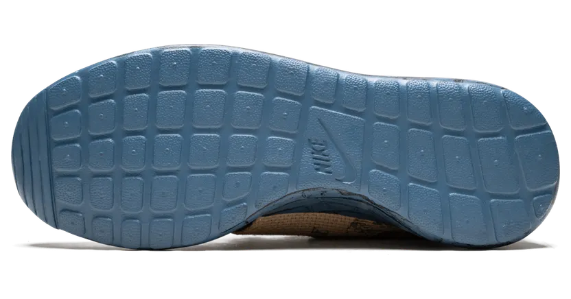 nike-roshe 748863-200