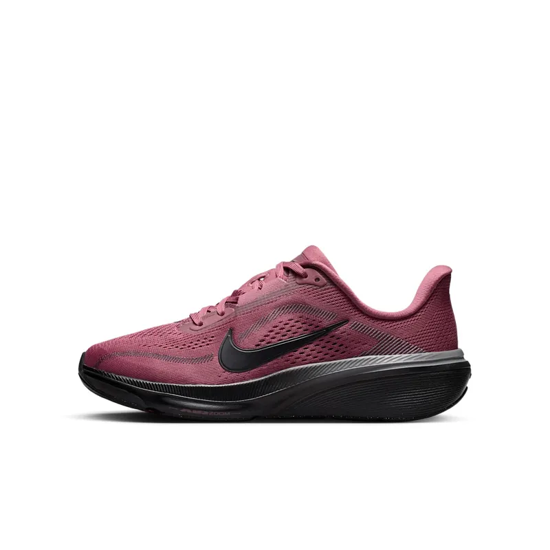 Nike Pegasus Pink Smoke/Gunsmoke/Black (IH2306-600)