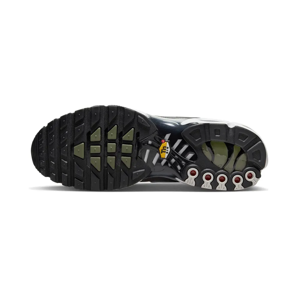 Nike Air Max Plus Flat Pewter (DV7665-002)