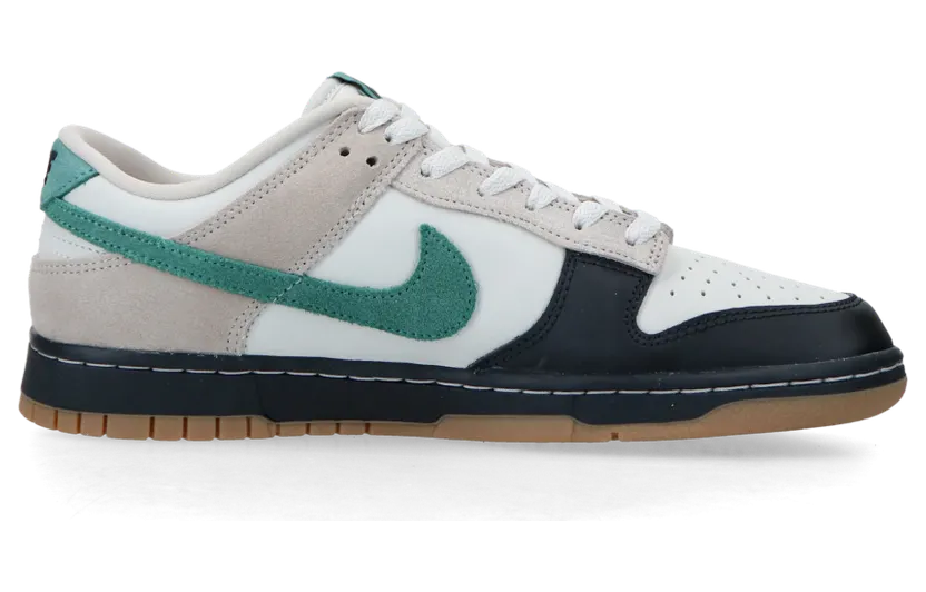 nike-dunk HQ3483-104