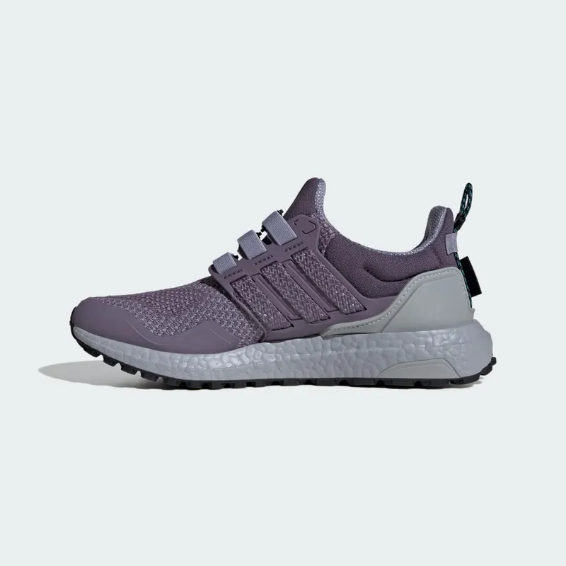 Adidas Ultraboost 1.0 Shadow Violet / Shadow Violet / Silver Violet (IG5344)