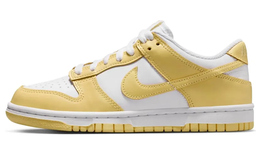 Nike Dunk Low FB9109-126