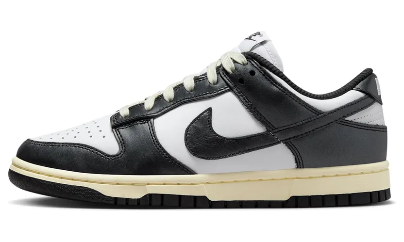nike-dunk FQ8899-100