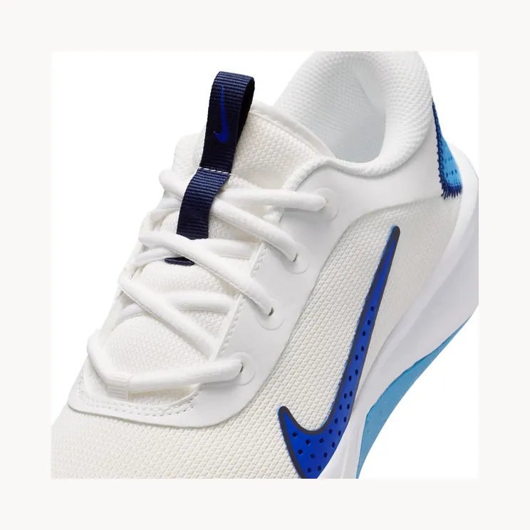 nike-omni-multi-court DM9027-108