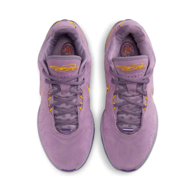 nike-lebron FV2345-500