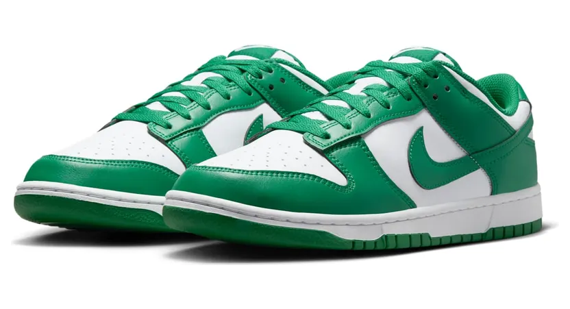 nike-dunk HF5441-101