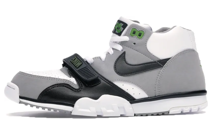 air-jordan-trainer-1 317553-101