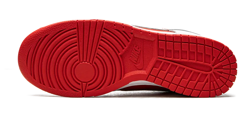 nike-dunk DD1391-600