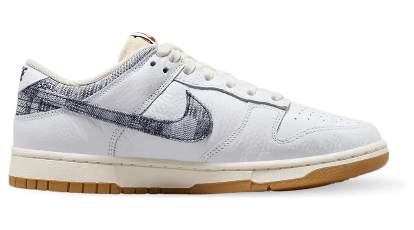nike-dunk FN6881-100