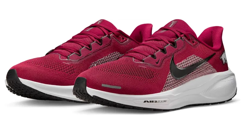 nike-air-zoom IB3246-600