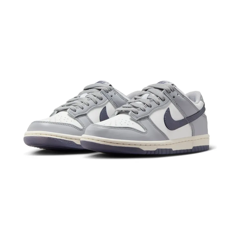 Nike Dunk Low SE Light Carbon Grey (GS) (FB9109-101)