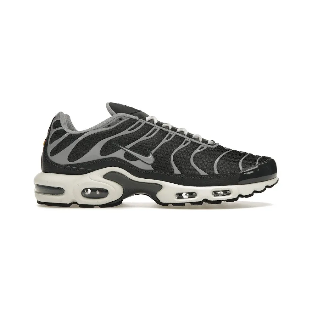 Nike Air Max Plus Greyscale Cool Grey (DZ2655-001)