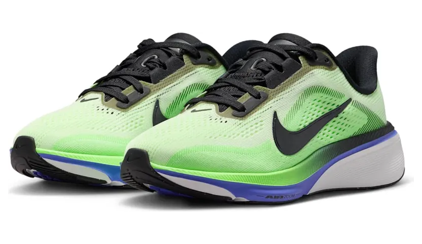 nike-air-pegasus IH2306-700