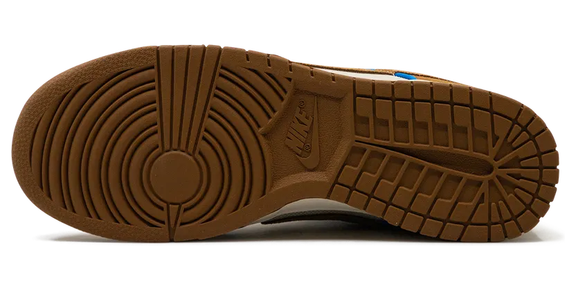 nike-dunk FN5825-100