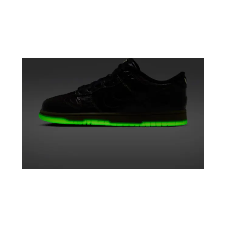 nike-dunk IX5169-300