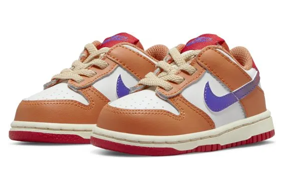 nike-dunk DH9761-101