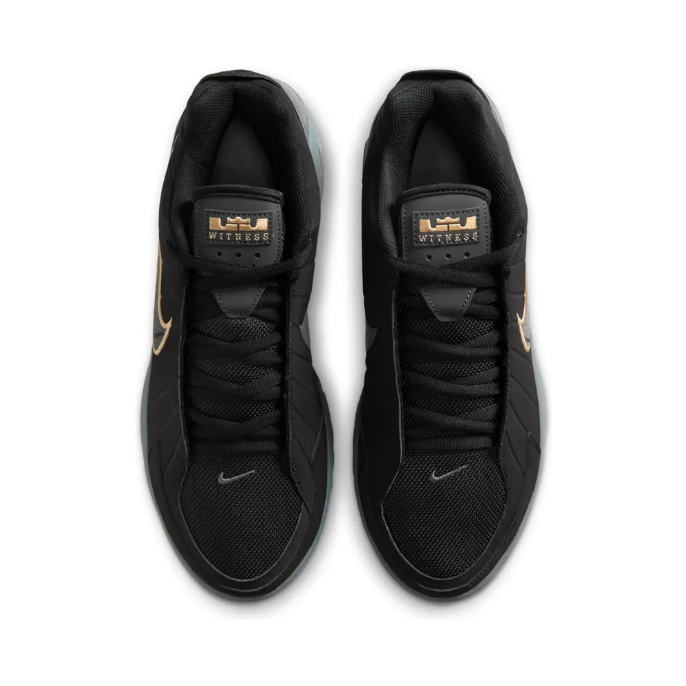 Nike LeBron Black/Iron Grey/Dark Smoke Grey/Black (HQ8034-003)