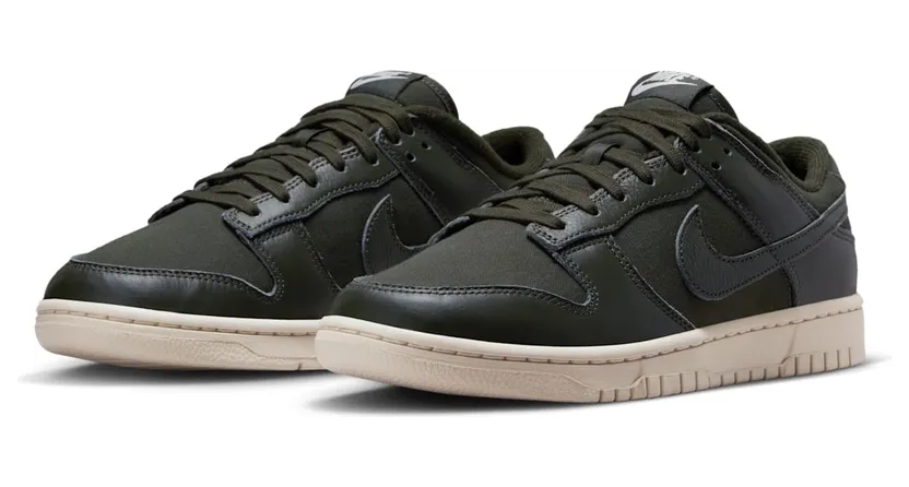 nike-dunk DZ2538-300