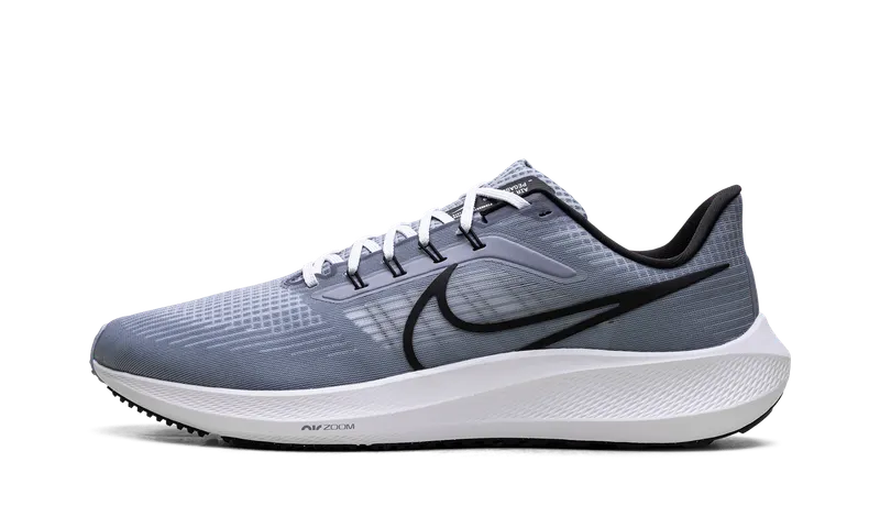 Nike Air Zoom Pegasus 39 “Ashen Slate / Black” (DH4071-401)