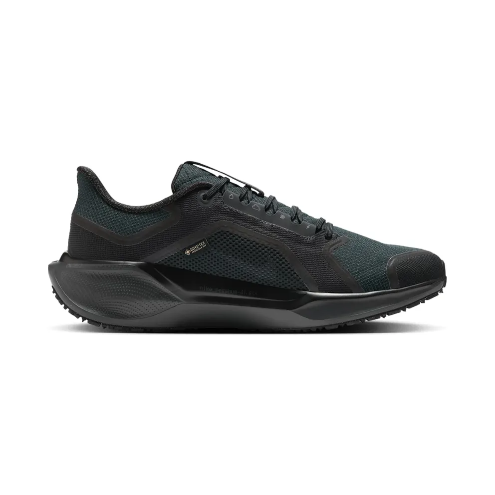 Nike Air Zoom Pegasus 41 GTX “Black Anthracite” (FQ1356-001)