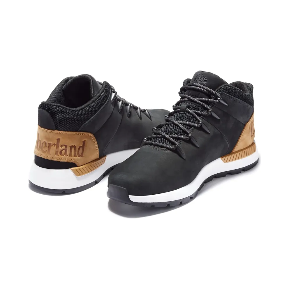 Timberland sneaker Black (TB0A24AB015)
