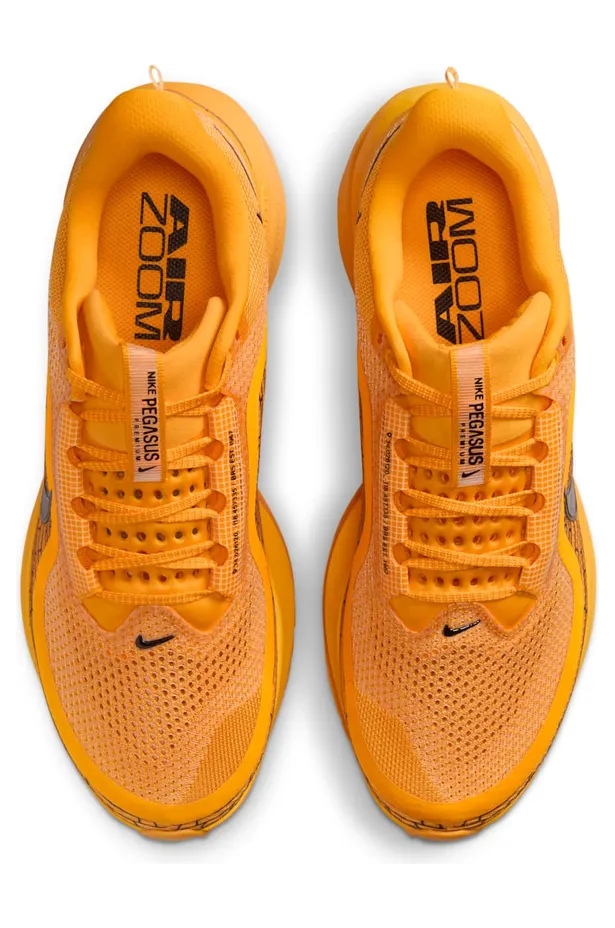 nike-air-pegasus IH3256-700