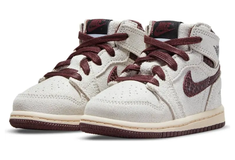 air-jordan-10 DO7098-100