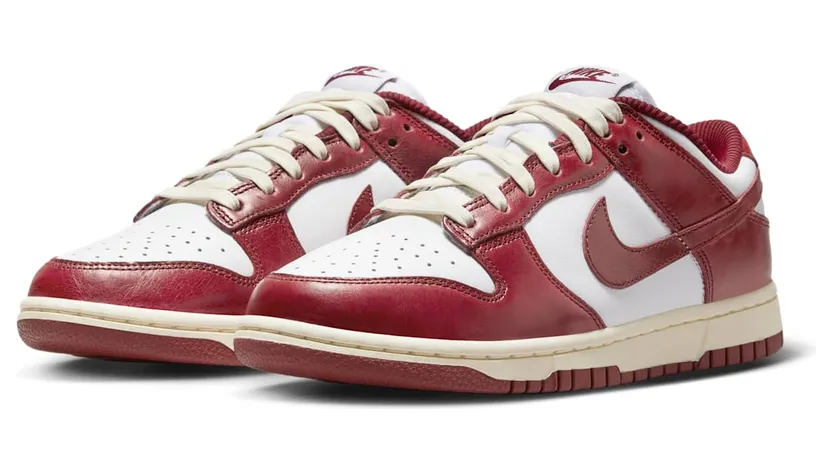 nike-dunk FJ4555-100