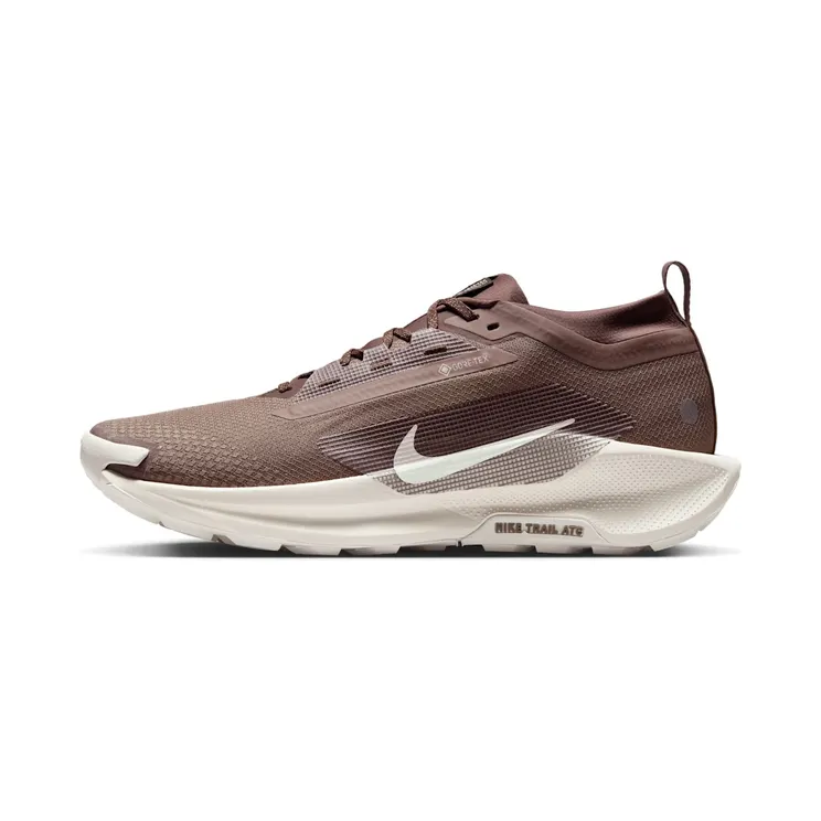 Nike Pegasus Trail 5 Gore-Tex “Mink Brown / Moon Particle / Phantom / Baroque Brown” (HQ7494-200)