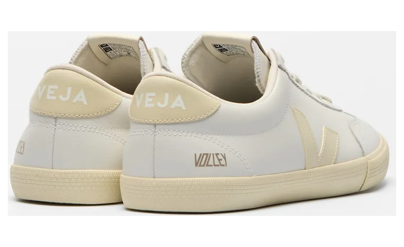 veja-volley YP2021573