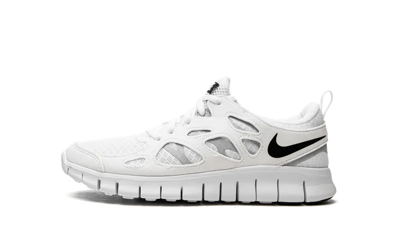 Nike Free Run 2 (GS) “Wolf Grey” (DD0163-100)