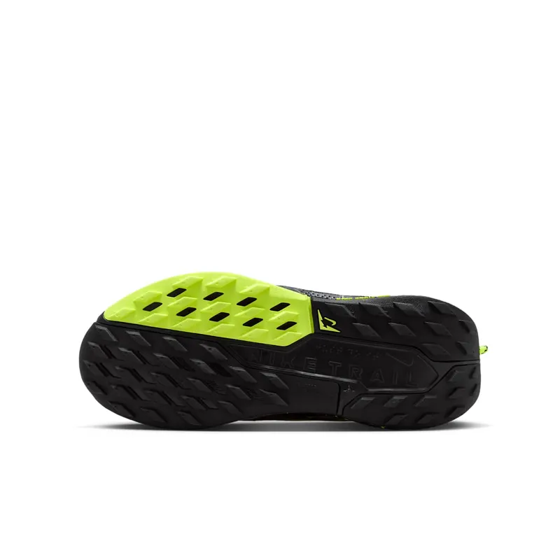 Nike Pegasus Trail Black (FV5638-006)