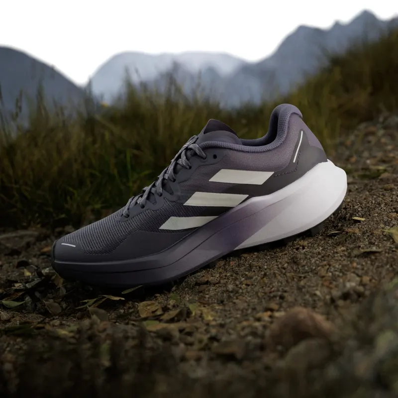 Adidas Terrex Agravic 3 Trail Running Preloved Violet / Grey One / Powder Plum (JR5251)