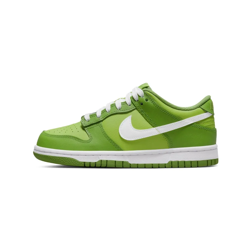 Nike Dunk Low Chlorophyll (DH9765-301)