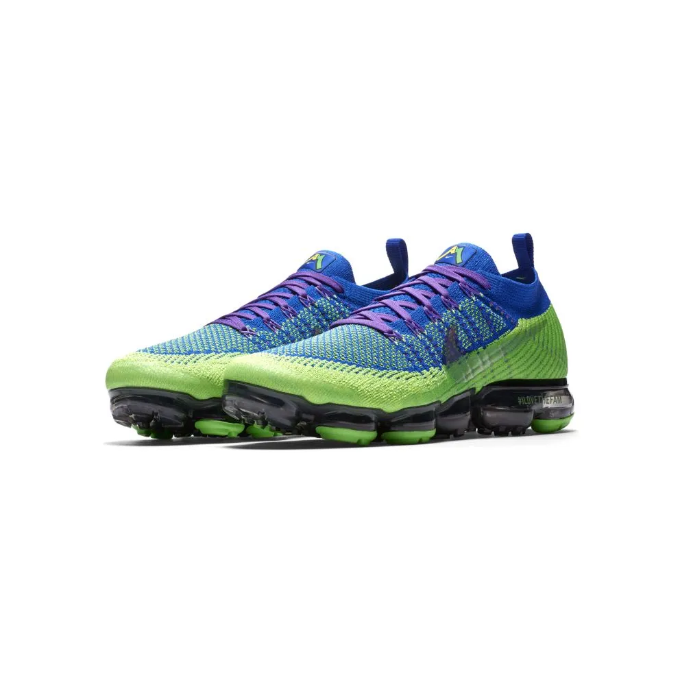 Nike Air VaporMax Doernbecher (2017) Green Strike/Racer Blue-Dark Grey-Hyper Grape (AH6893-300)