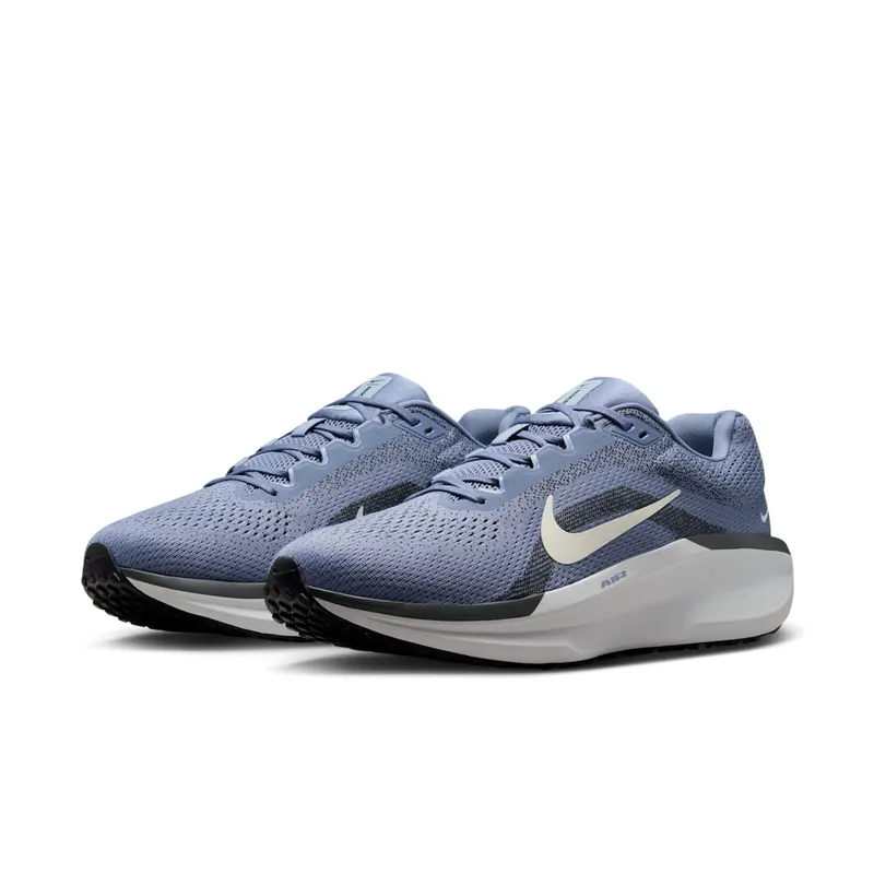 Nike Winflo 11 World Indigo Light Armory Blue (FJ9509-405)