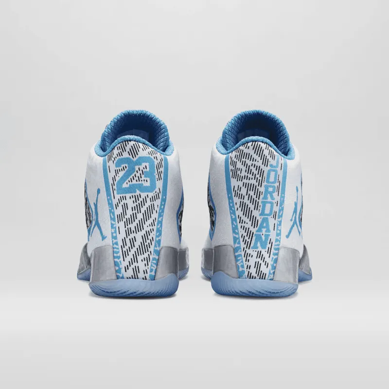 Jordan XX9 Pantone White/Silver-Pantone (717796-108)