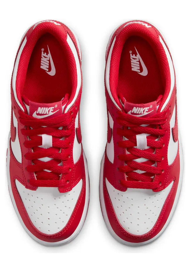 nike-dunk FB9109-119