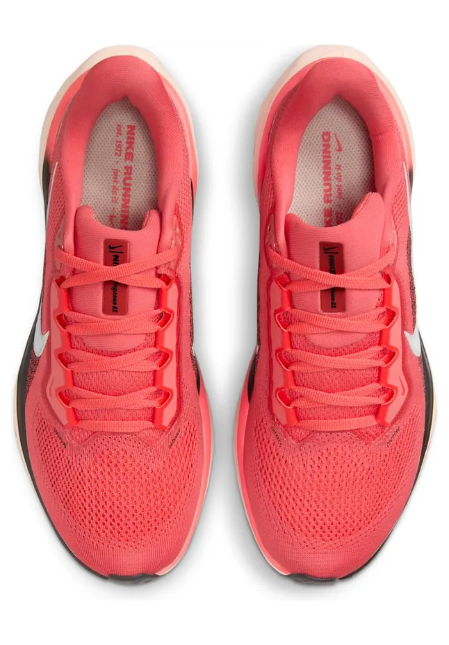 nike-air-pegasus FD2723-801